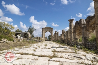 Pillars along Byzantine Road with Triumph Arch, Al-Bass ruins of Tyre
